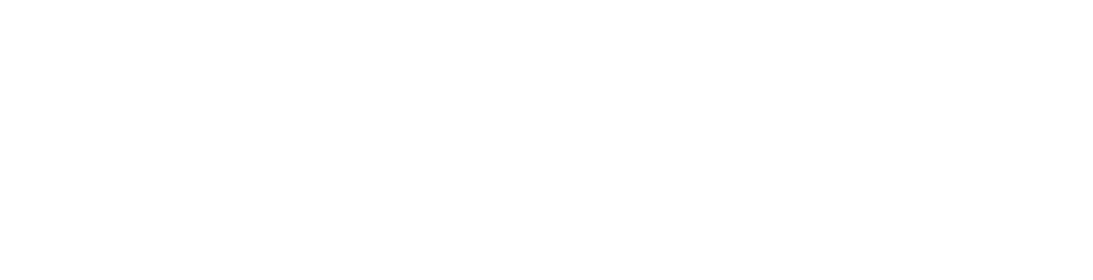 BfV Logo White